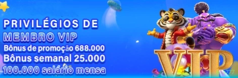 Suporte boa777